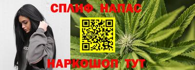 a pvp Будённовск